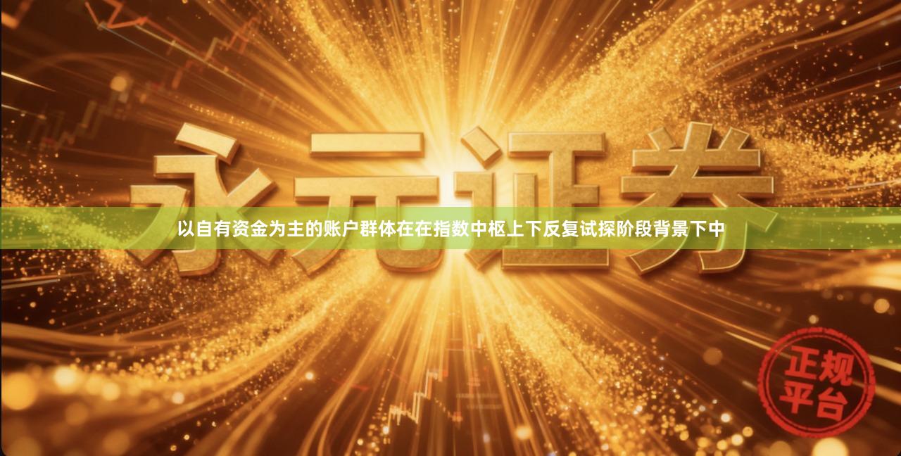 以自有资金为主的账户群体在在指数中枢上下反复试探阶段背景下中